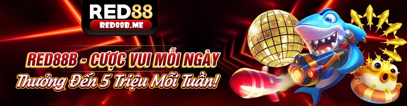 Hình ảnh tổng quan về tài nguyên đá gà casino trực tiếp hôm nay