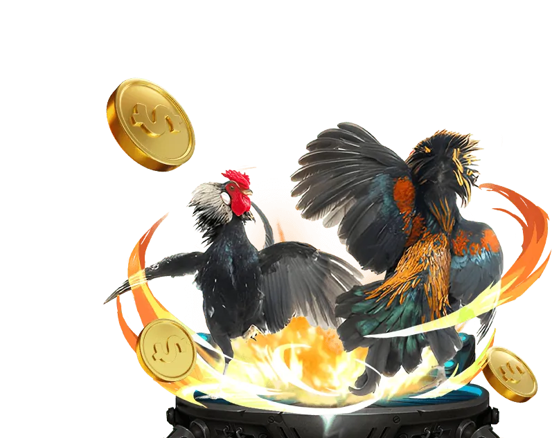 Cách Đá Gà Casino sử dụng thông tin để nâng cao dịch vụ